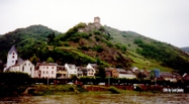 Rhine2