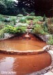 Chalice Well Garden - Glastonbury